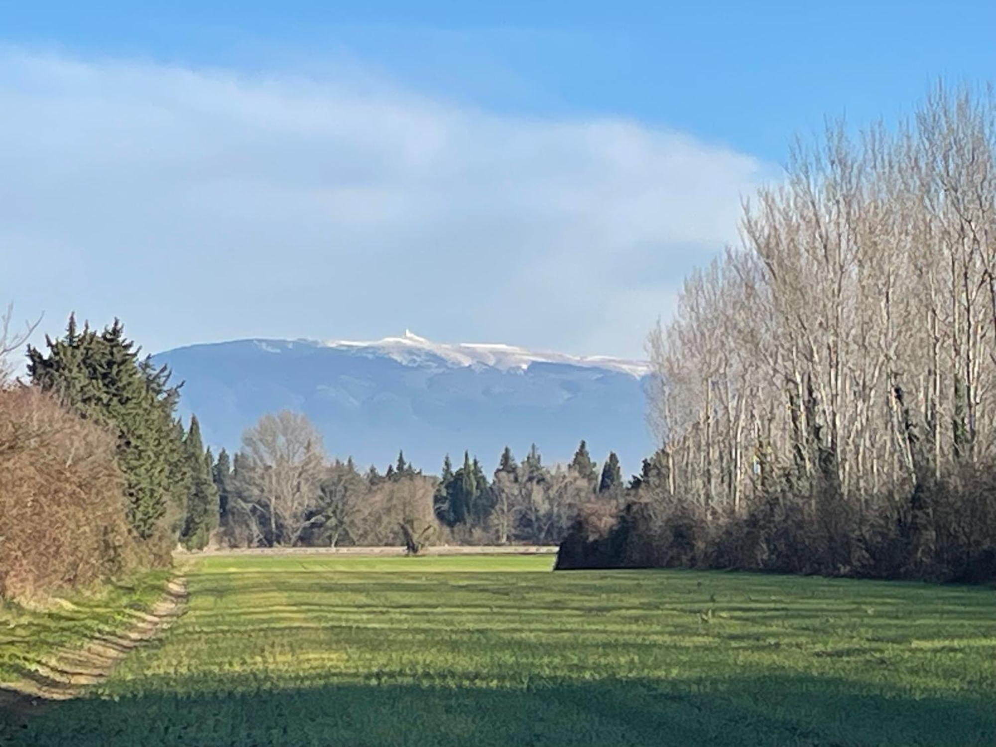 La Petite Rive - Les Oliviers Villa Velleron Luaran gambar