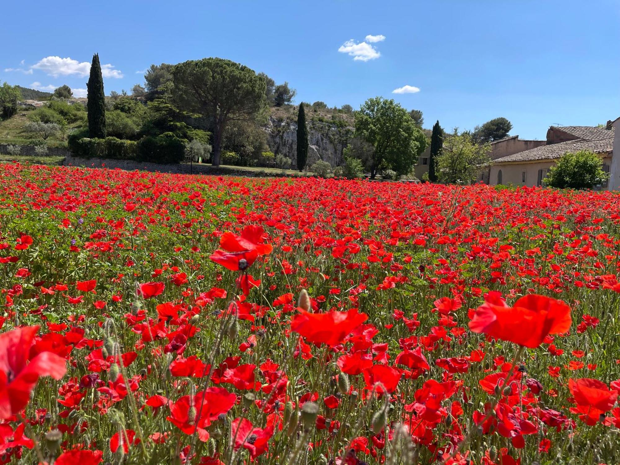 La Petite Rive - Les Oliviers Villa Velleron Luaran gambar